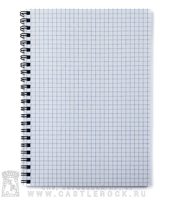 тетрадь на пружине кино в. цой "мы хотим танцевать"