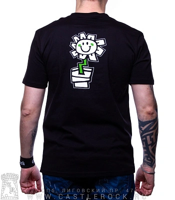 футболка green day "kerplunk"