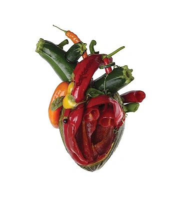 CD Carcass "Torn Arteries"