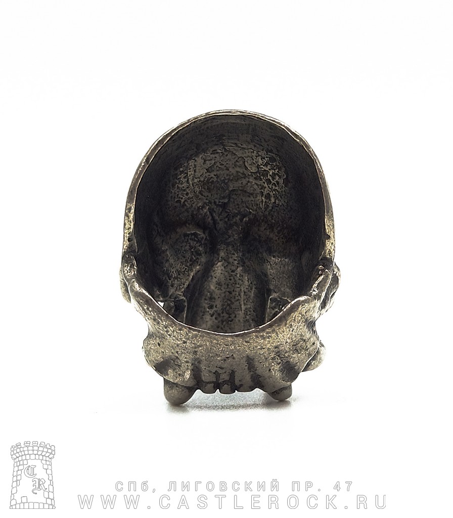 Кольцо Alchemy Gothic (Алхимия Готик) R101 Vampyr Skull — Кольца