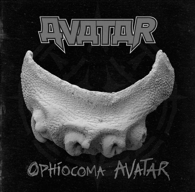 avatarfossil.jpeg avatarfossil.jpeg