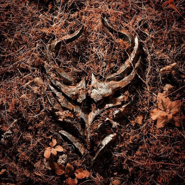 demonhunterlight.jpg demonhunterlight.jpg