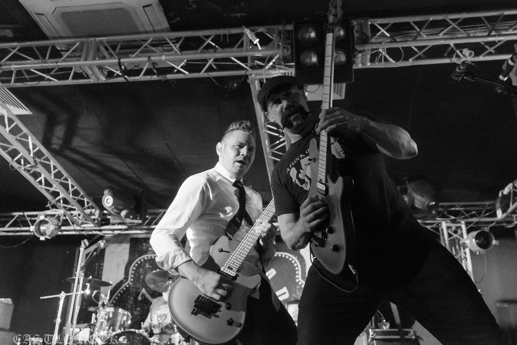zebrahead 17.08.16 zebrahead 17.08.16