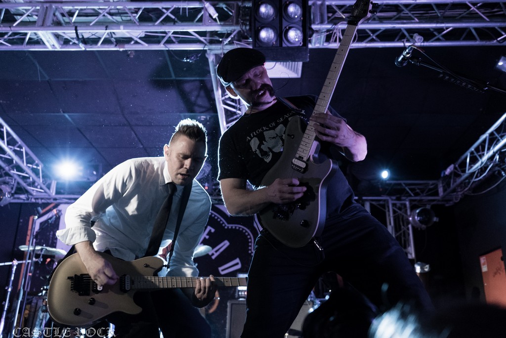 zebrahead 17.08.16 zebrahead 17.08.16