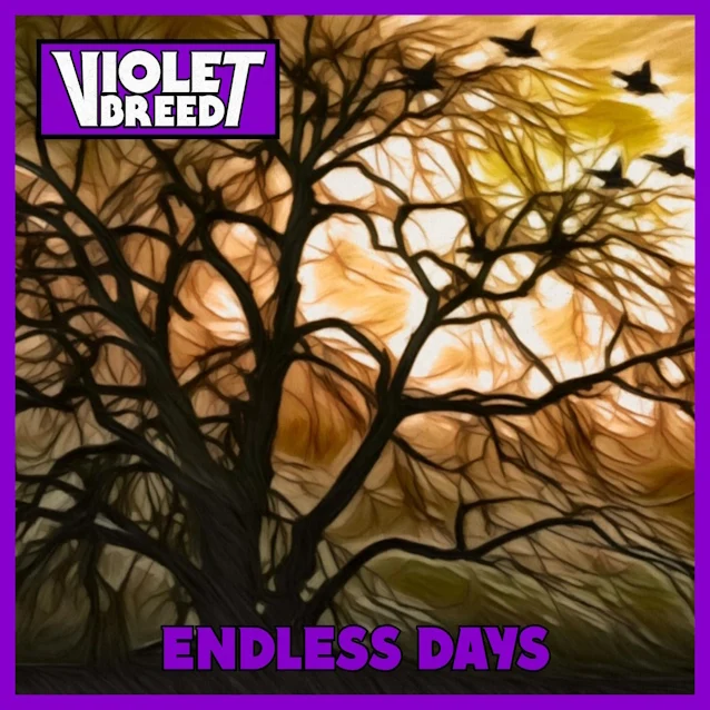 violetbreed1.jpg violetbreed1.jpg