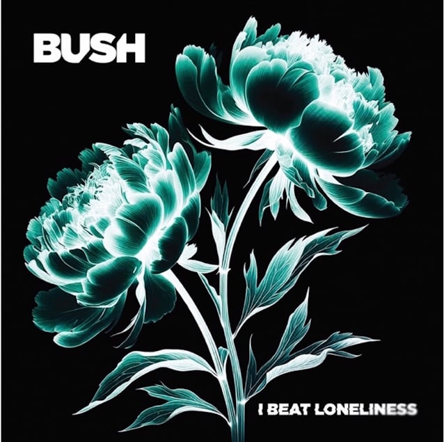 bushibeatloneliness.jpg bushibeatloneliness.jpg