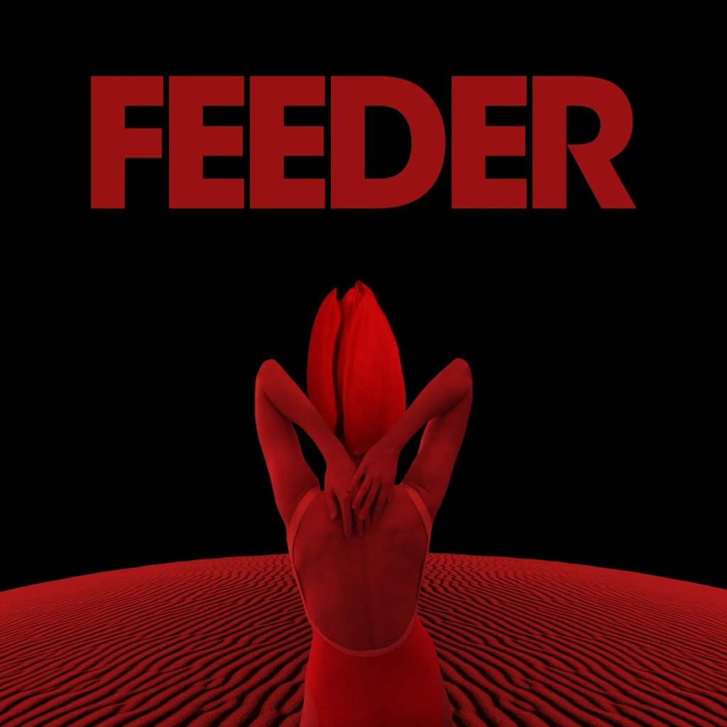 feeder2.jpg