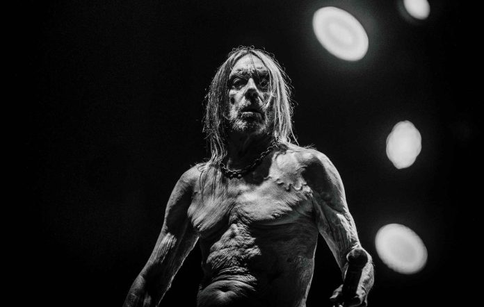 Iggy-Pop.jpg