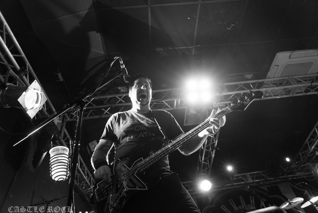 zebrahead 17.08.16 zebrahead 17.08.16