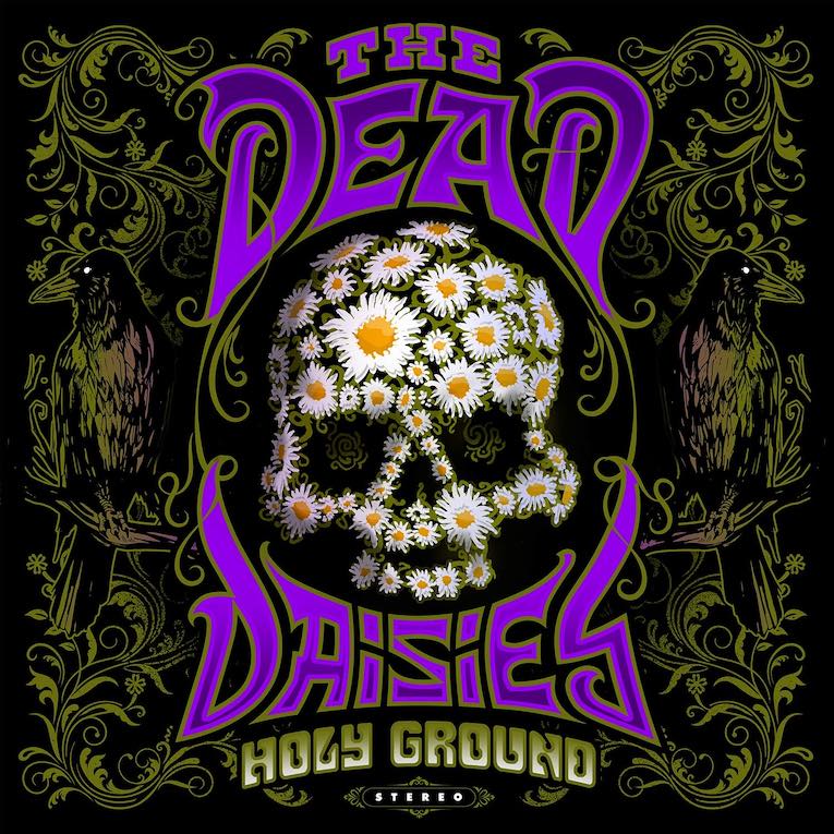 Dead-Daisies.jpg Dead-Daisies.jpg