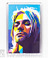   nirvana kurt cobain (-, )