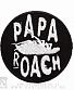 нашивка papa roach (вышивка)