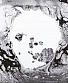 CD Radiohead "A Moon Shaped Pool"