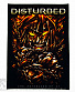    disturbed