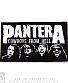  pantera "cowboys from hell" (, )