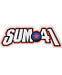   sum 41 ()