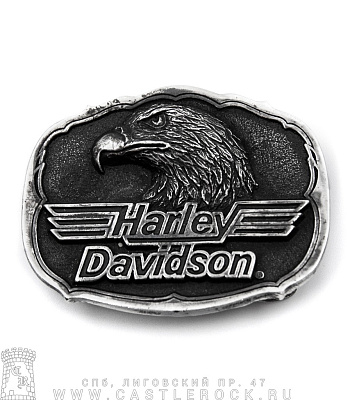  harley-davidson ( )