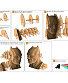 3d  batman  ( )