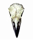  alchemy gothic ( ) v66 reliquary raven skull