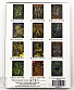   dark zodiac collection