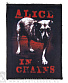  alice in chains