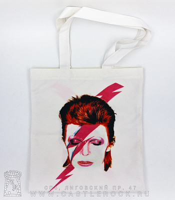   david bowie "aladdin sane"