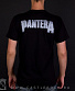  pantera (   )