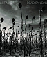 CD Dead Can Dance "Anastasis"