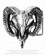  alchemy gothic ( ) b95 ram's skull