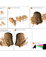 3d  star wars  ( )
