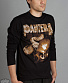  pantera (  ) /