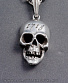  alchemy gothic ( ) p480 skull of teach