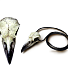  alchemy gothic ( ) v66 reliquary raven skull