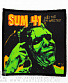 нашивка sum 41 "does this look infected?"