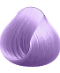  / crazy color 54 lavender ()