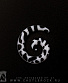     (  ) 6 