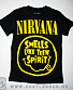   nirvana "smells like teen spirit"