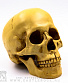 статуэтка череп (приставная челюсть)