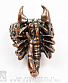  alchemy gothic ( ) r110 euscorpius