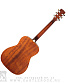   parkwood pf51m-op (6 )