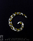     ( ) 6 