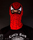   spiderman   ()