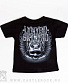   lynyrd skynyrd ()