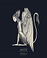 CD Alcest "Spiritual Instinct"