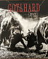 CD Gotthard "#13"