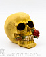 статуэтка череп с красной розой (большой)