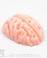 мыло рельефное мозг (средний)