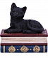 шкатулка кот на книгах