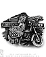  harley-davidson "freedom rider"