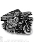  harley-davidson "freedom rider"